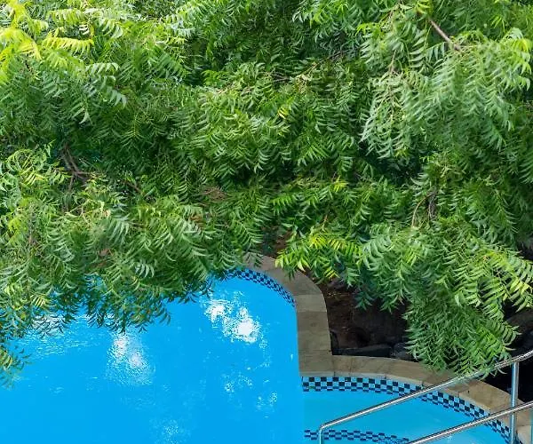 Lunar Dive Resort: Bamboo *