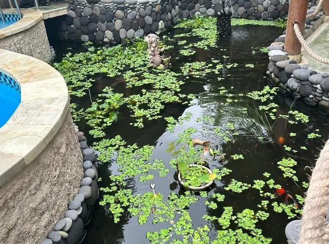 Lunar Dive Resort: Bamboo * Kubu